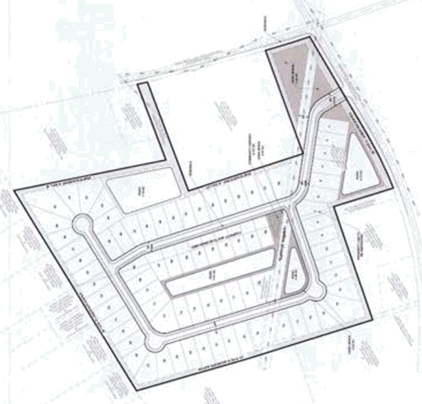 Preliminary Site Plan- Birchwood - data courtesy Horry County